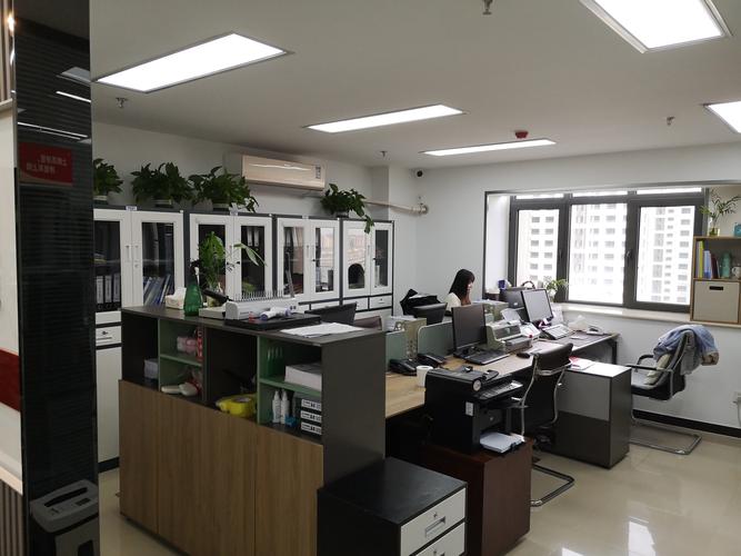 北京虎蜥信息技术 专业信息技术咨询服务的领跑者